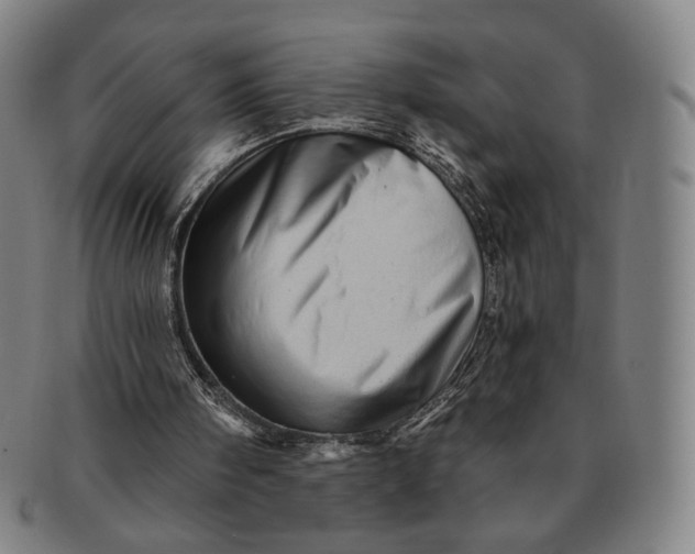 X0000091230098200708301525