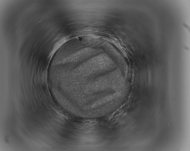 X0000091230099200708301525