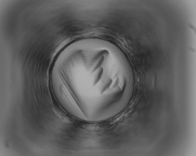 X0000091230100200708301525