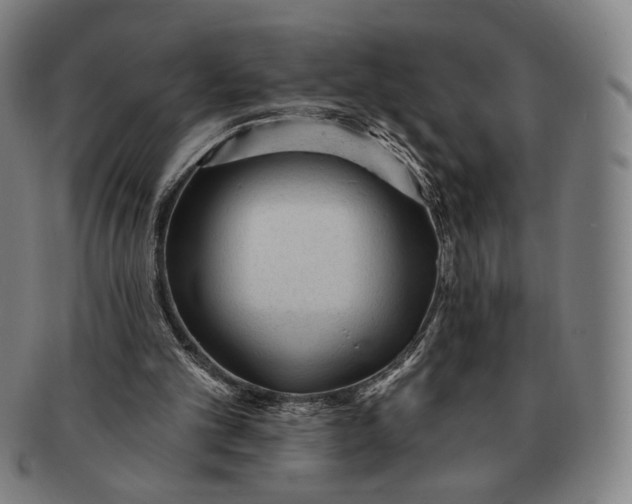 X0000091230101200708301525