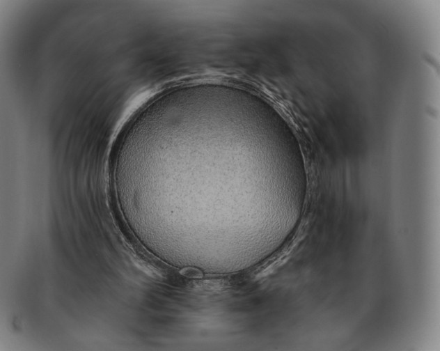 X0000091230102200708301525