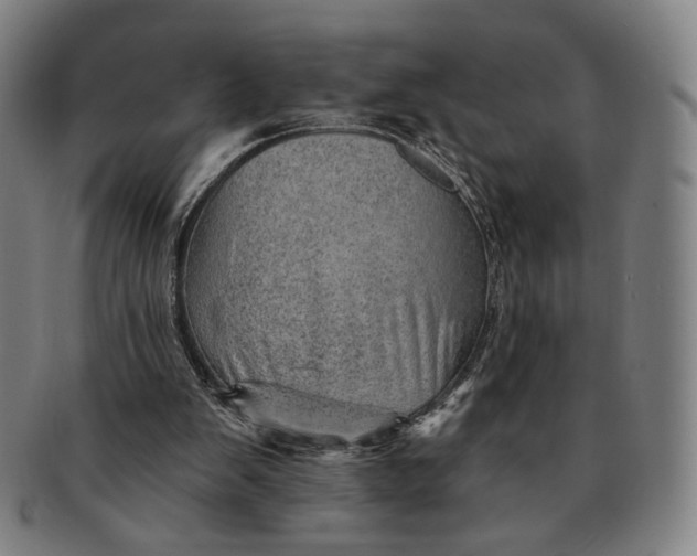 X0000091230103200708301525