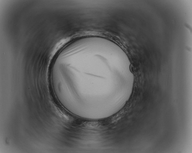 X0000091230104200708301525