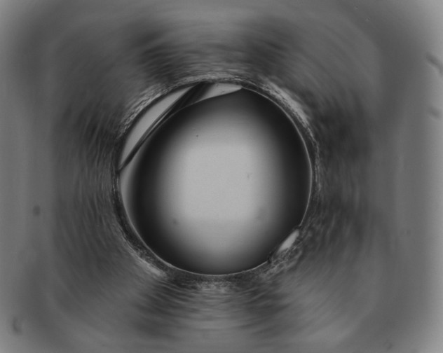 X0000091230105200708301525
