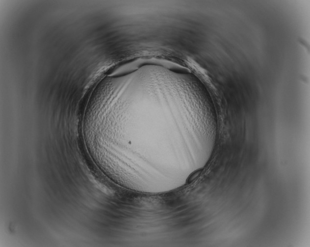 X0000091230106200708301525