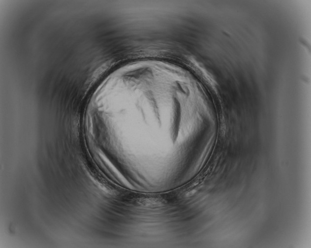 X0000091230107200708301525