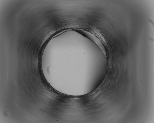 X0000091230108200708301525