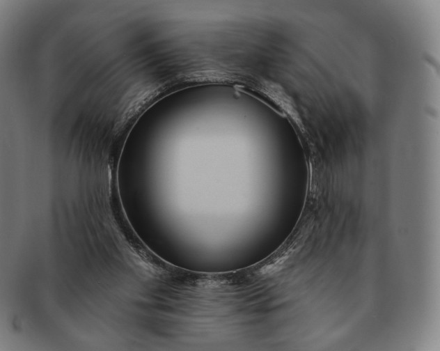 X0000091230109200708301525