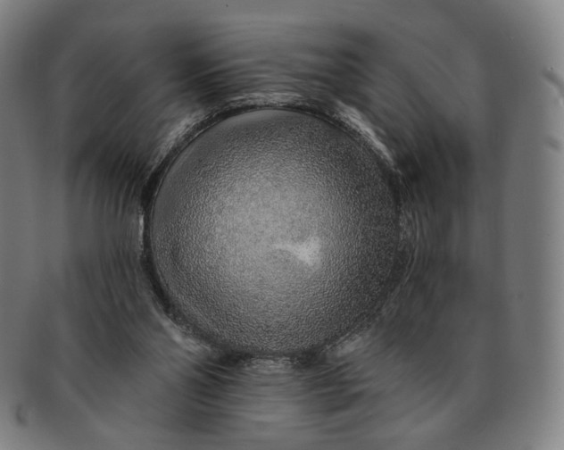 X0000091230110200708301525