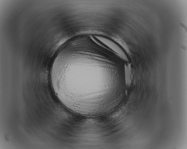 X0000091230111200708301525