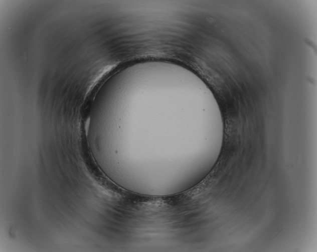 X0000091230112200708301525