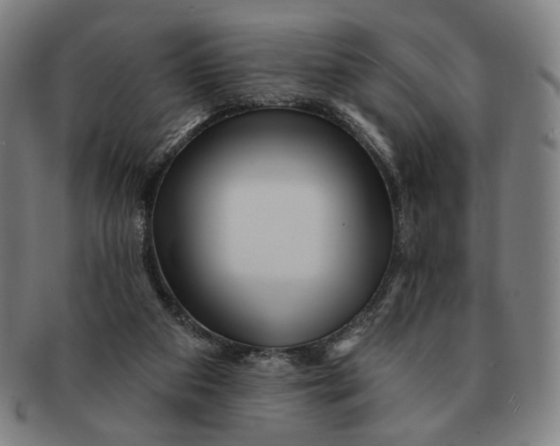 X0000091230113200708301525