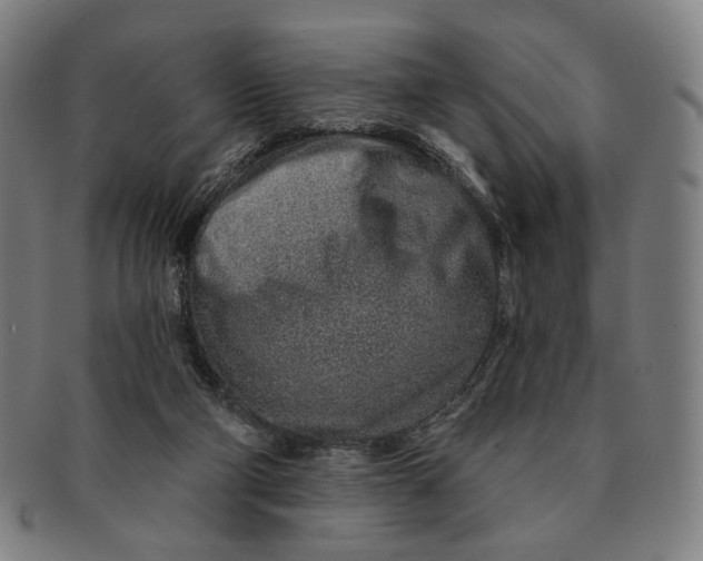 X0000091230114200708301525