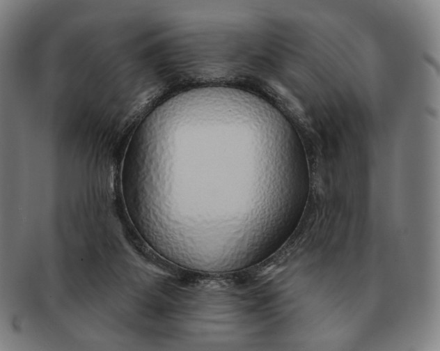 X0000091230115200708301525