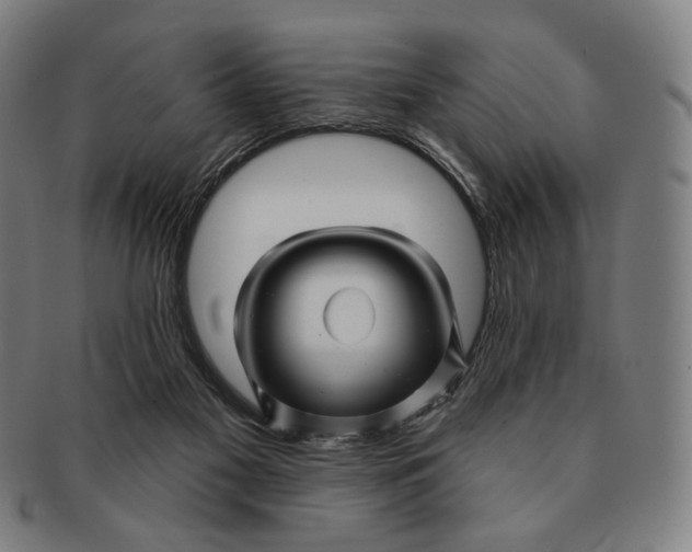 X0000091230117200708301525