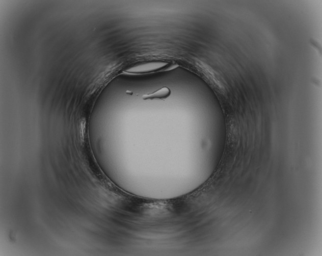 X0000091230118200708301525