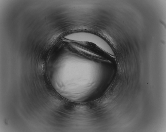 X0000091230119200708301525