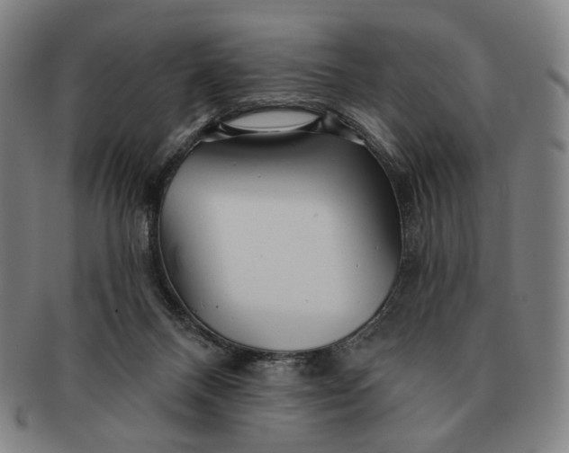 X0000091230120200708301525
