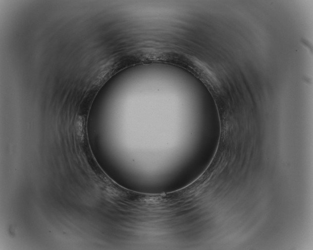 X0000091230121200708301525