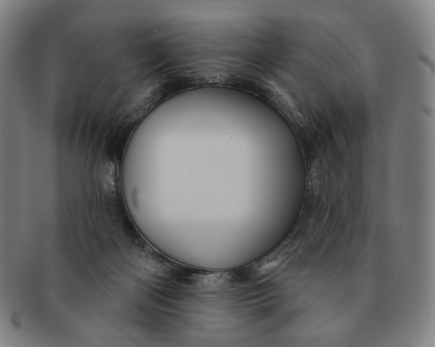 X0000091230122200708301525
