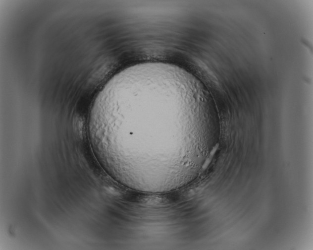 X0000091230123200708301525