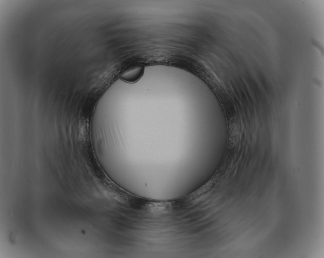 X0000091230126200708301525