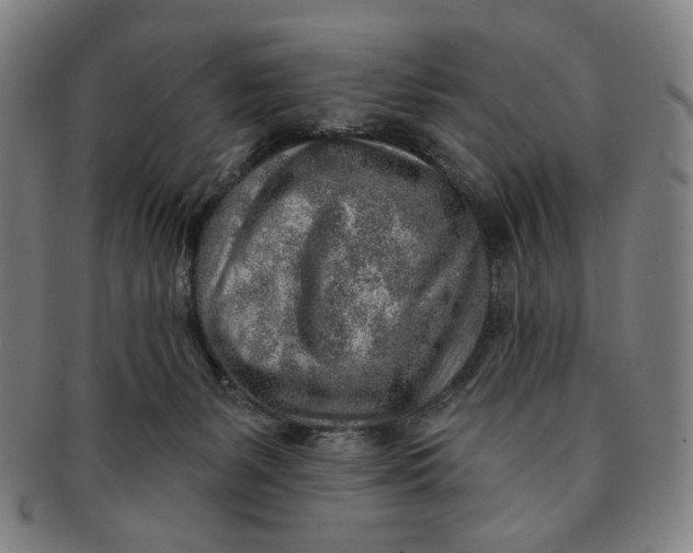 X0000091230127200708301524