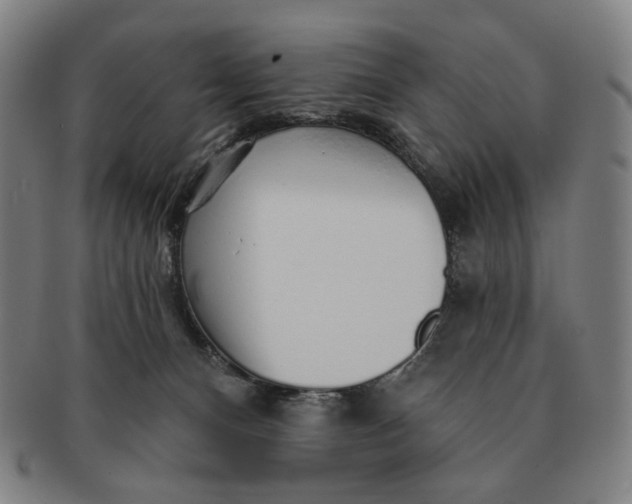X0000091230128200708301524