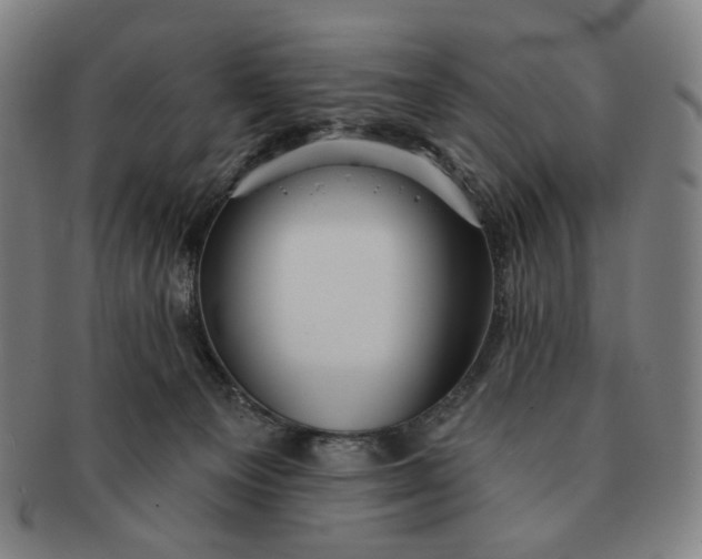 X0000091230129200708301524