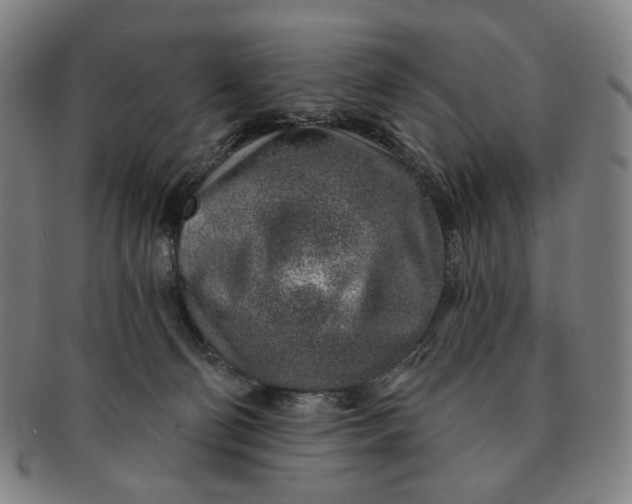 X0000091230130200708301524