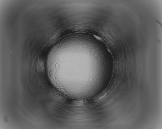 X0000091230131200708301524