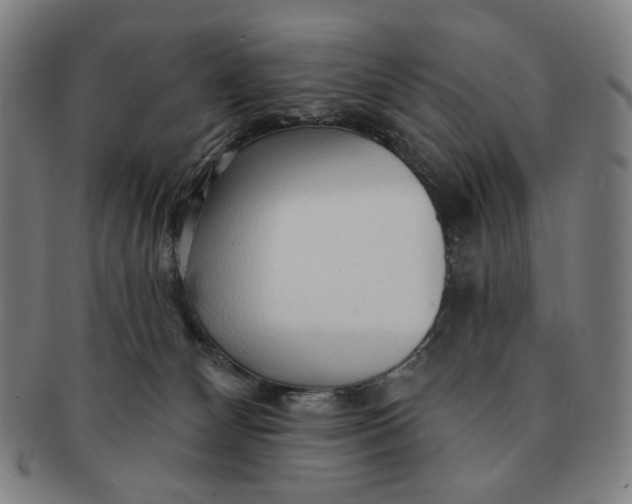 X0000091230132200708301524