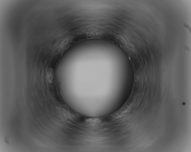 X0000091230133200708301524