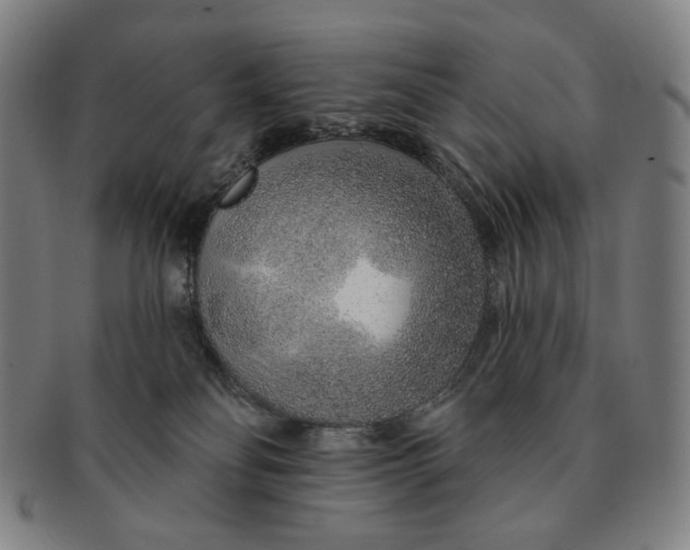 X0000091230134200708301524