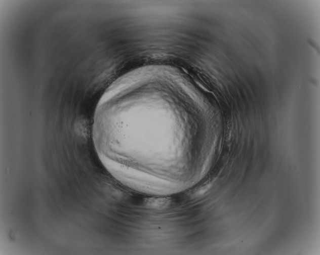 X0000091230135200708301524