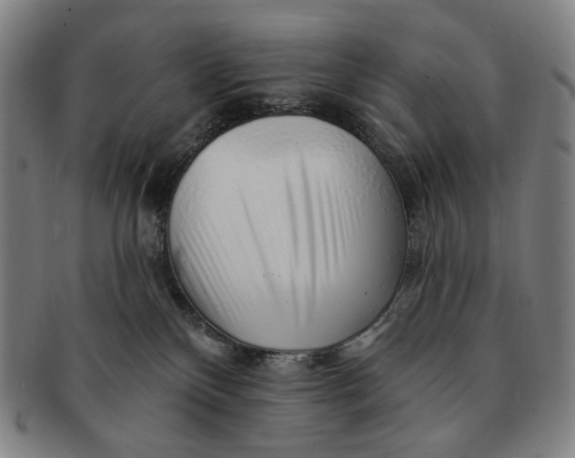 X0000091230136200708301524