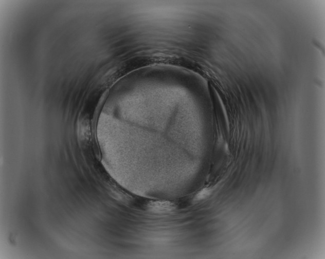 X0000091230137200708301524