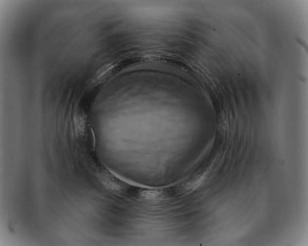 X0000091230139200708301524