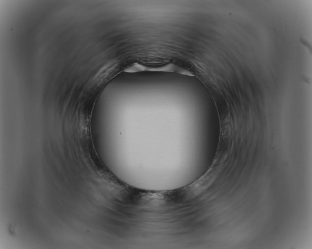 X0000091230140200708301524