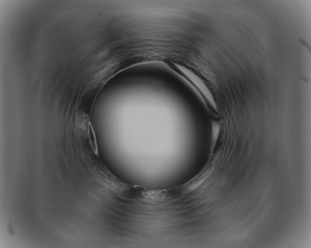 X0000091230141200708301524