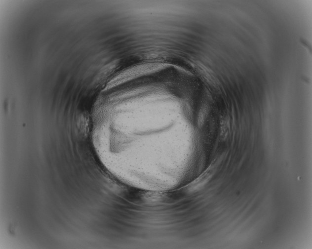 X0000091230142200708301524