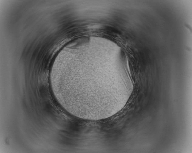 X0000091230146200708301524