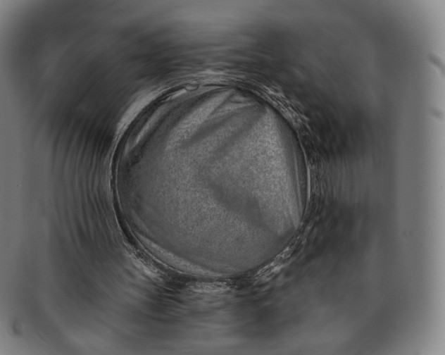 X0000091230147200708301524