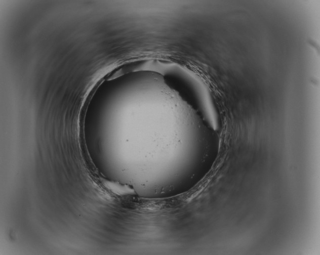 X0000091230148200708301524