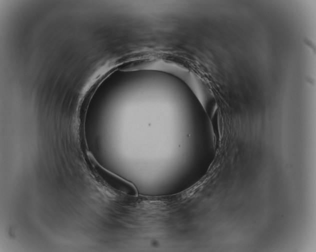 X0000091230150200708301524