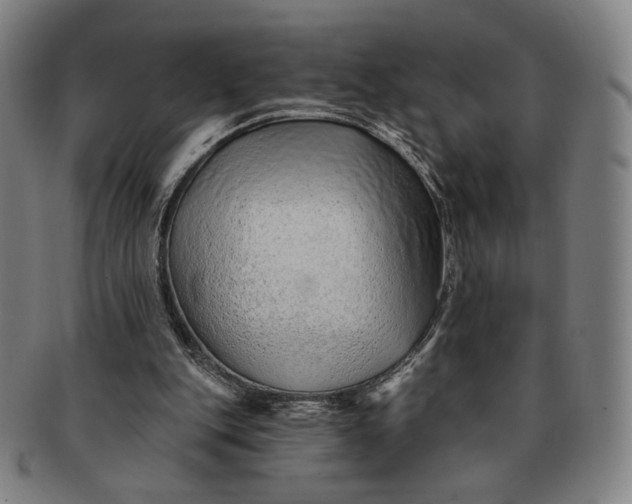 X0000091230151200708301524