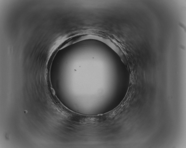 X0000091230152200708301524