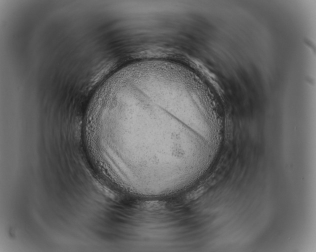 X0000091230153200708301524