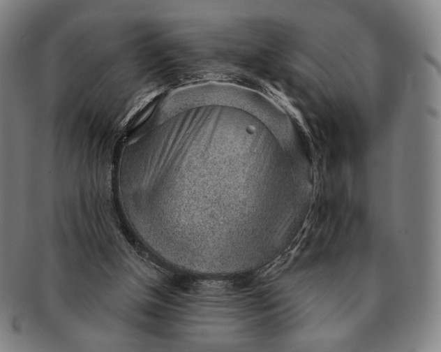 X0000091230154200708301524