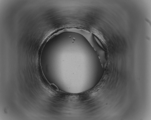 X0000091230156200708301524